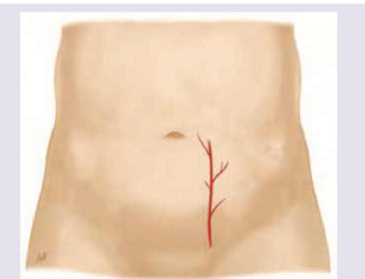 Image for question 21