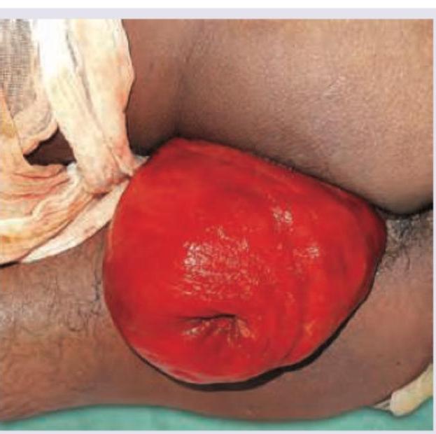 Image for question 10