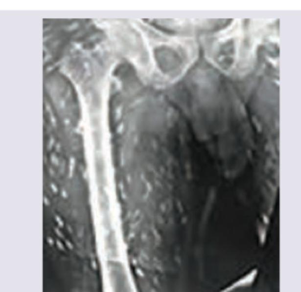 Image for question 37