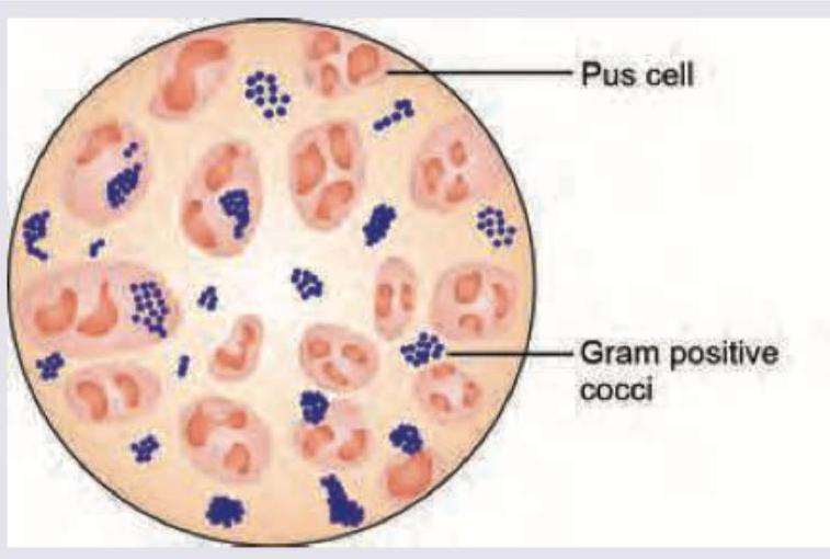 Image for question 2