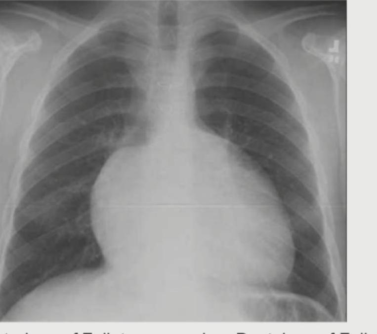 Image for question 6