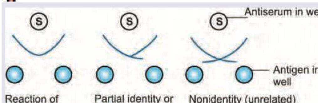 Image for question 925