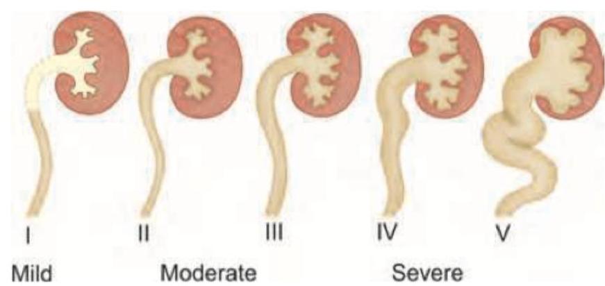 Image for question 60