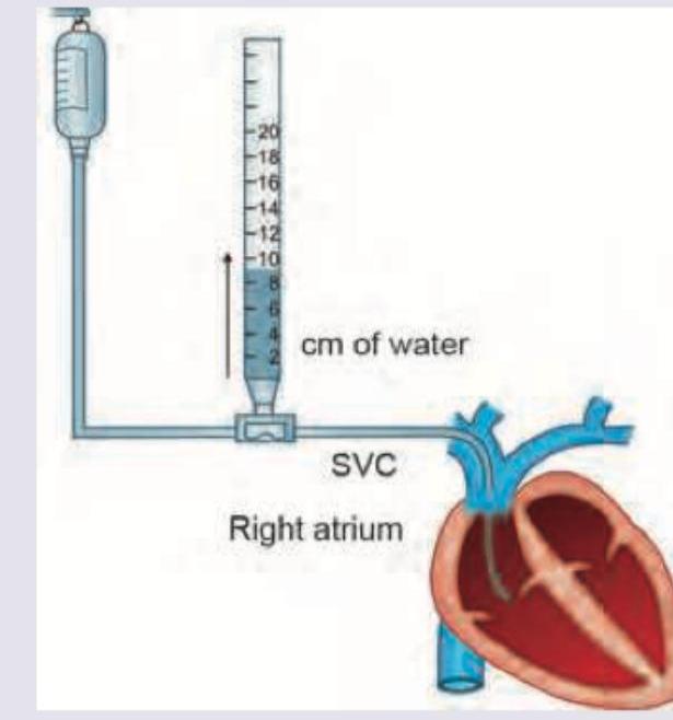 Image for question 1