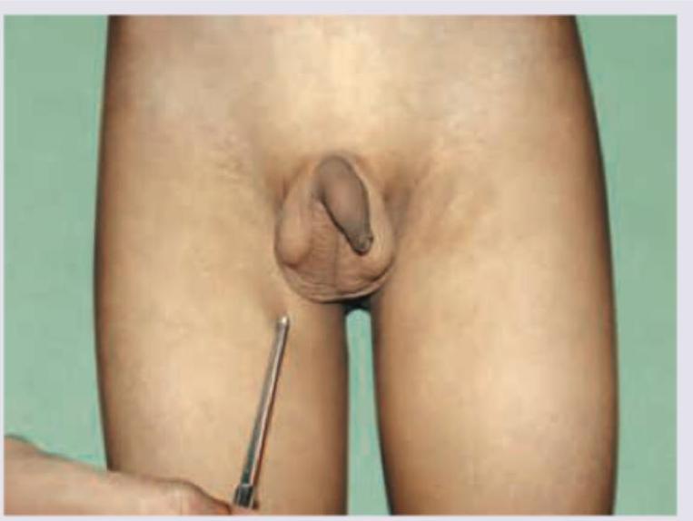 Image for question 49