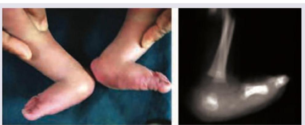 Image for question 285