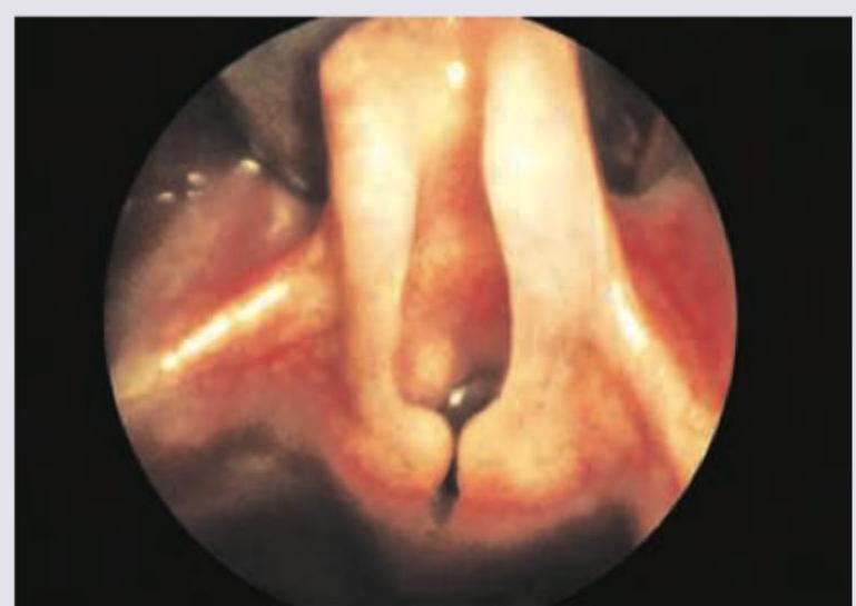 Image for question 8