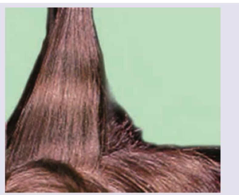 Image for question 20