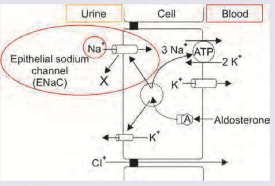 Image for question 140