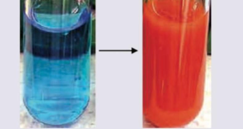 Image for question 8