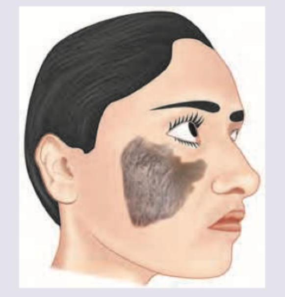 Image for question 7