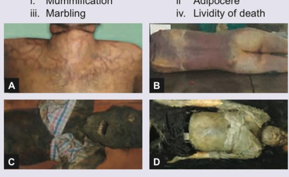 Image for question 6