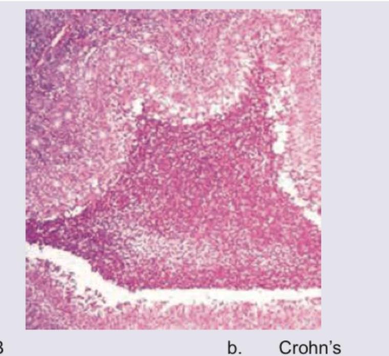 Image for question 7