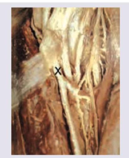 Image for question 27