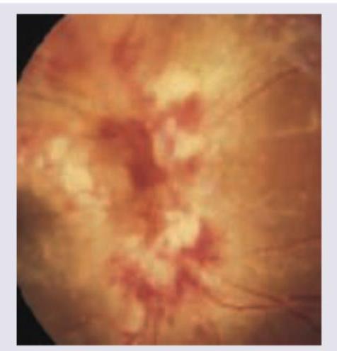 Image for question 16