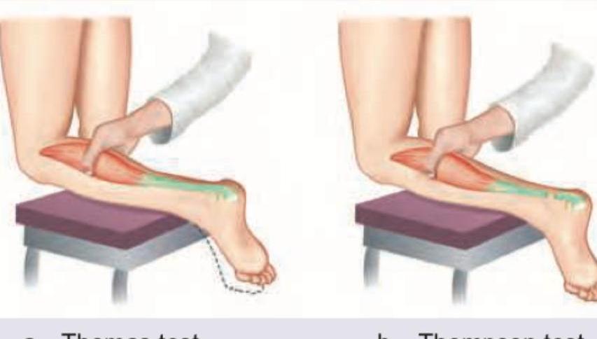 Image for question 33