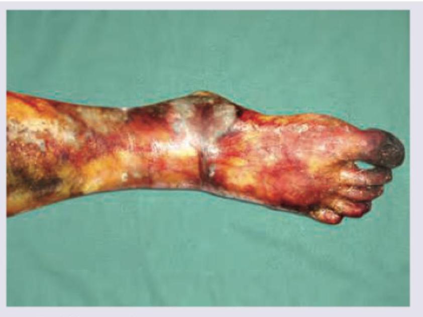 Image for question 9