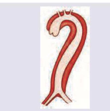 Image for question 664