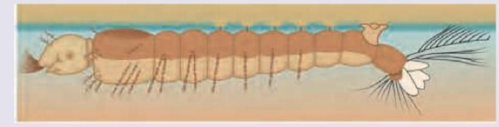 Image for question 778