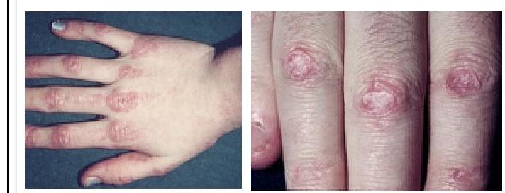 Image for question 1