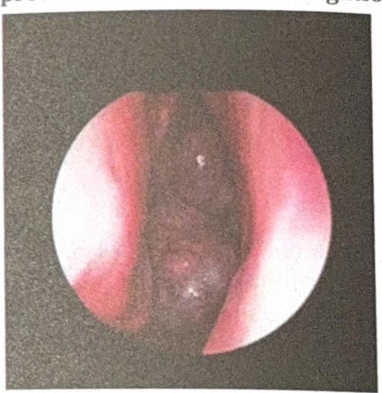 Image for question 4