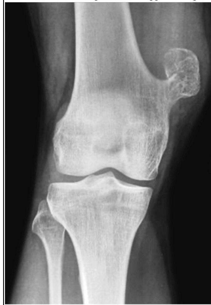 Image for question 8