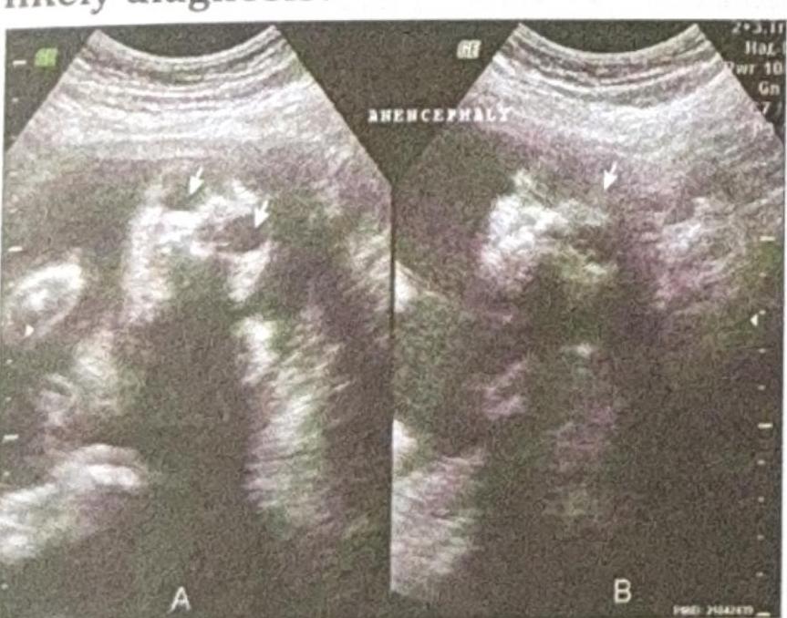 Image for question 9