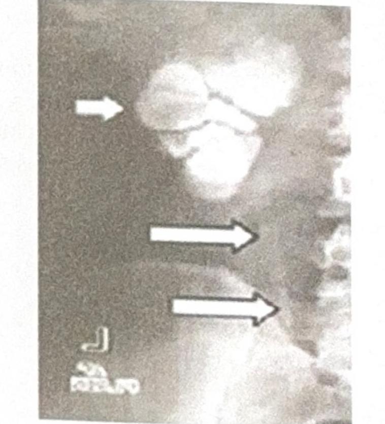 Image for question 8