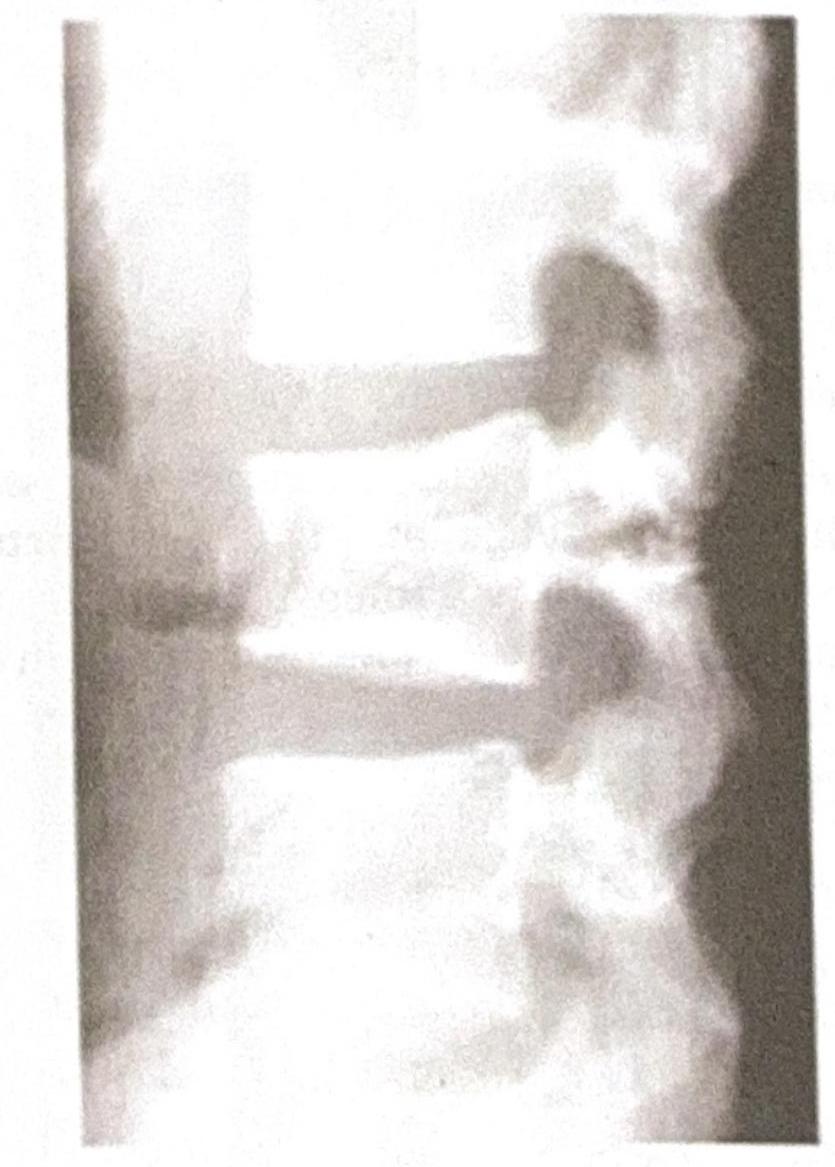 Image for question 4