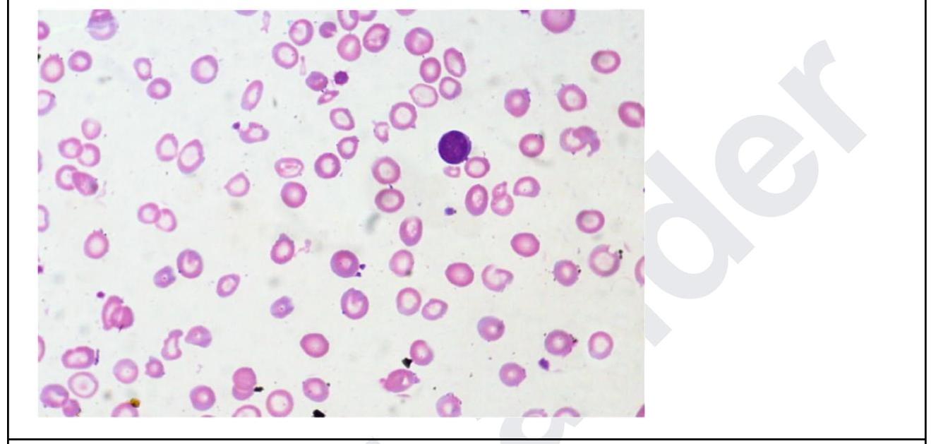 Image for question 4