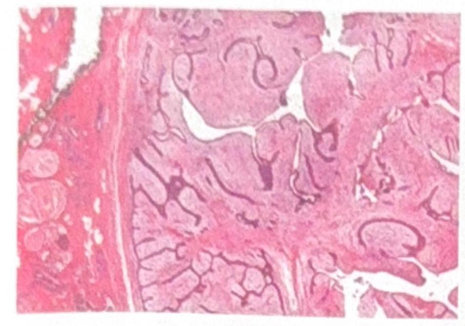 Image for question 1