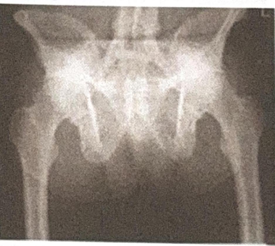 Image for question 6