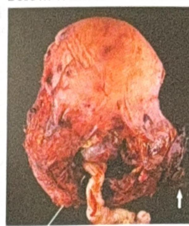 Image for question 6