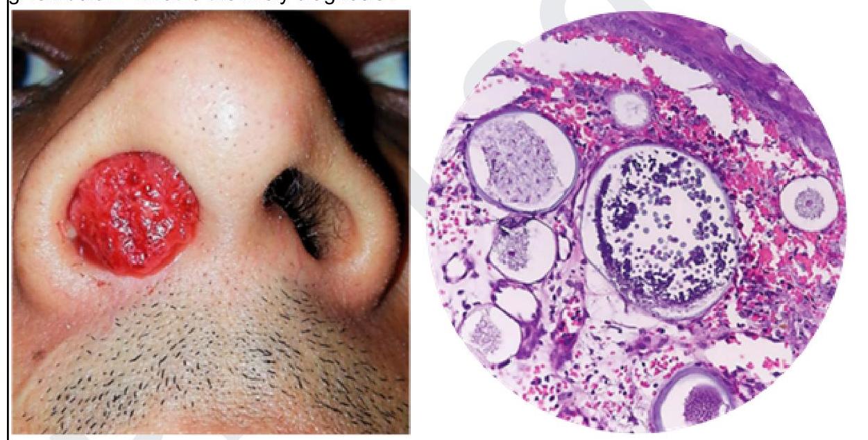 Image for question 1