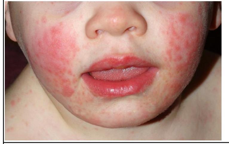 Image for question 4