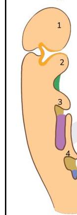 Image for question 5