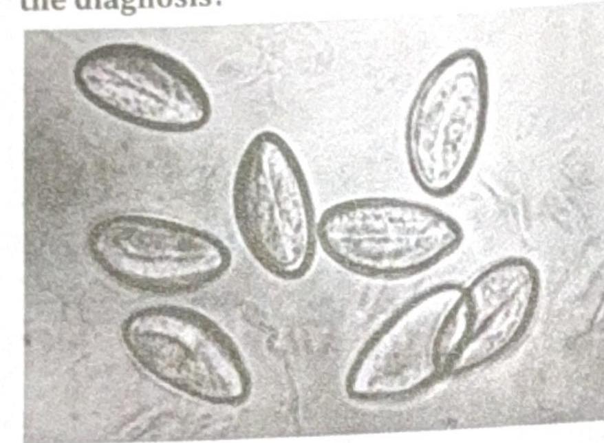 Image for question 8