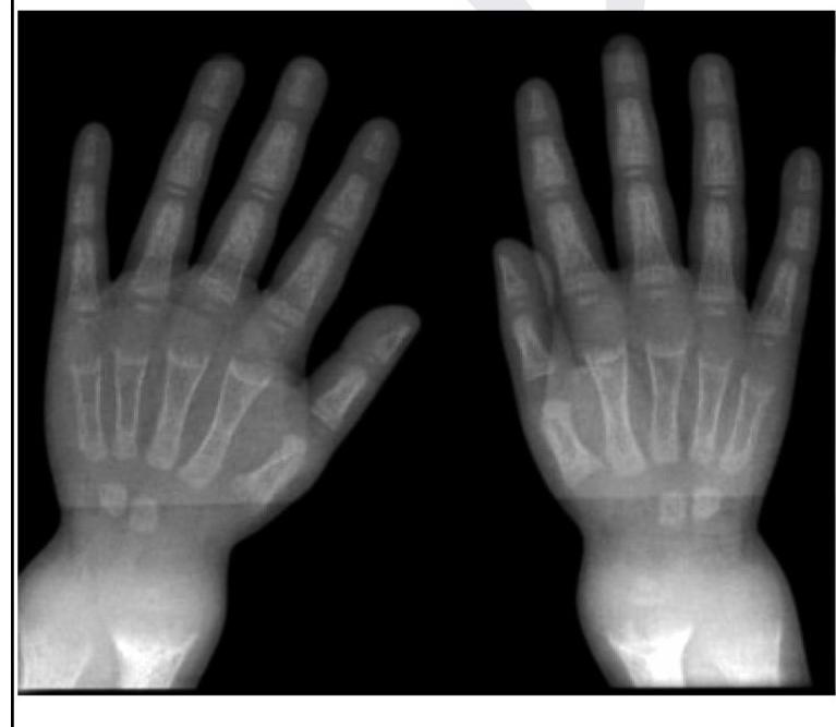 Image for question 1