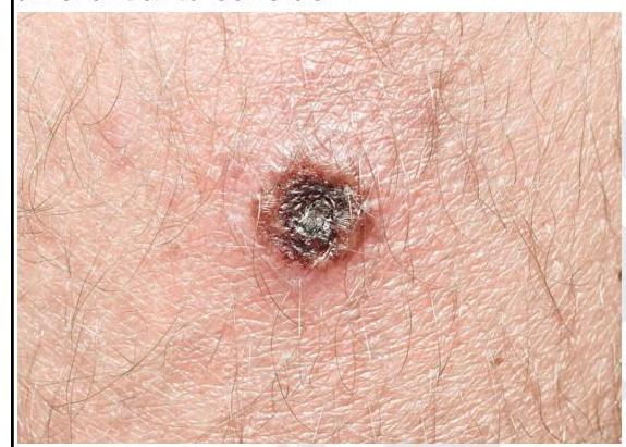 Image for question 1