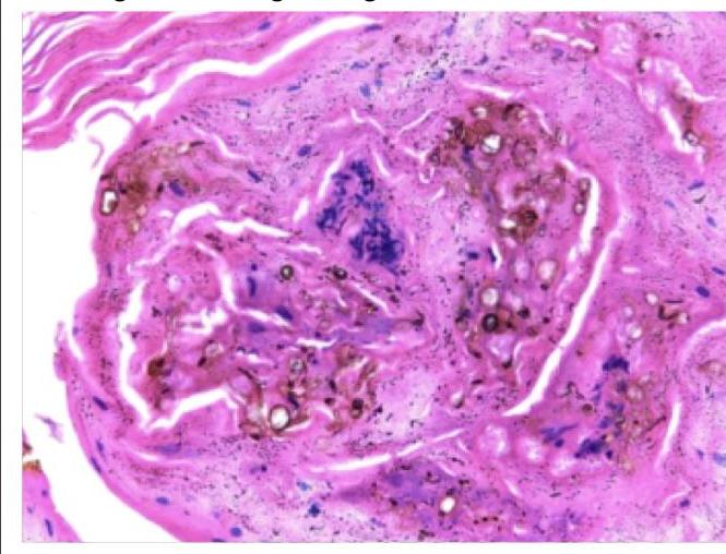 Image for question 10