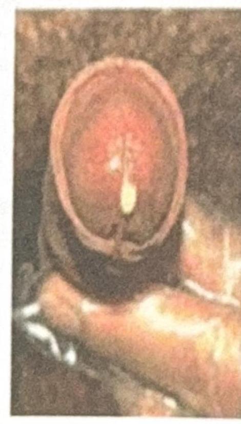 Image for question 7