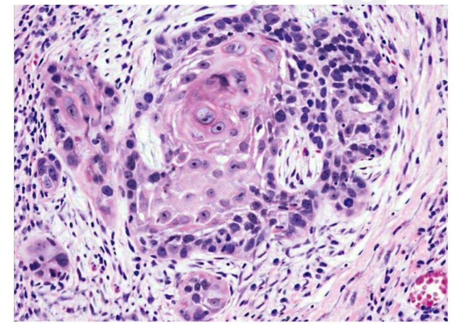 Image for question 9