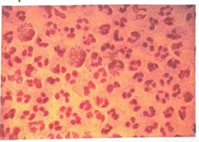 Image for question 6