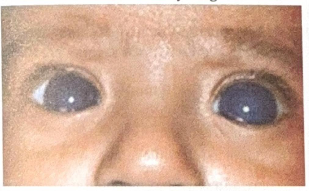 Image for question 9