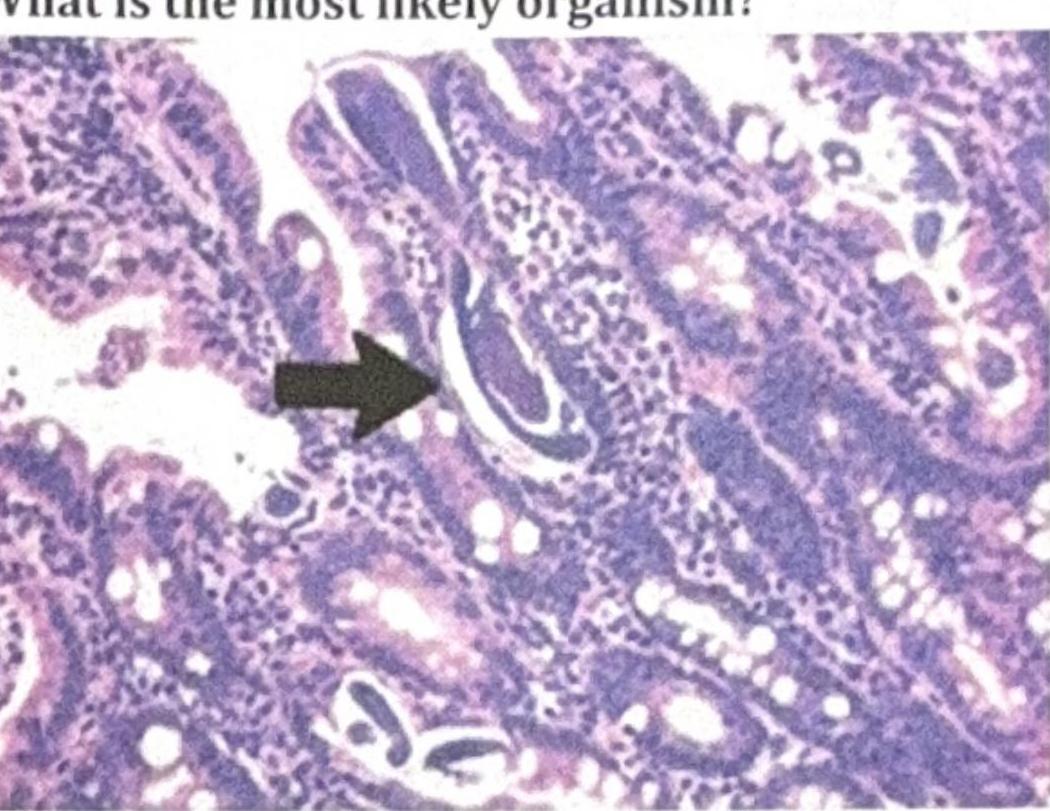 Image for question 4