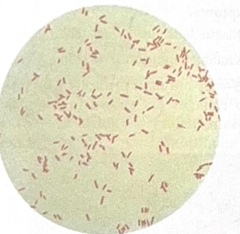 Image for question 10