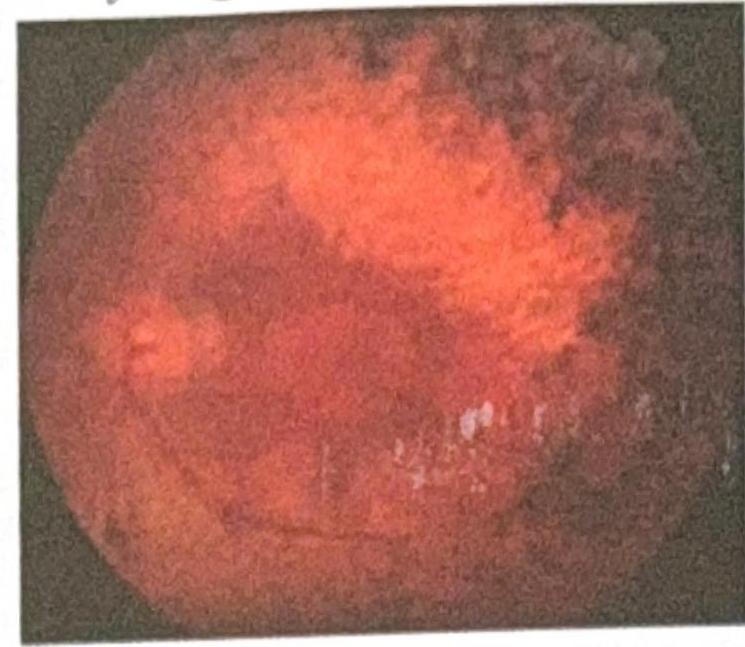 Image for question 3