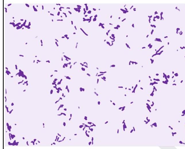 Image for question 9