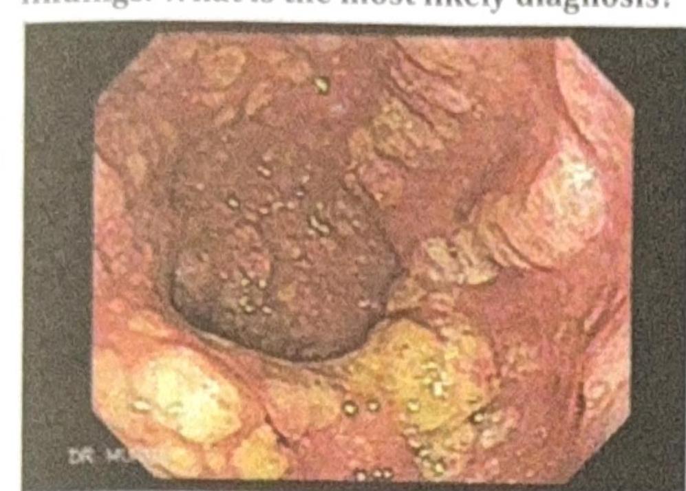 Image for question 4