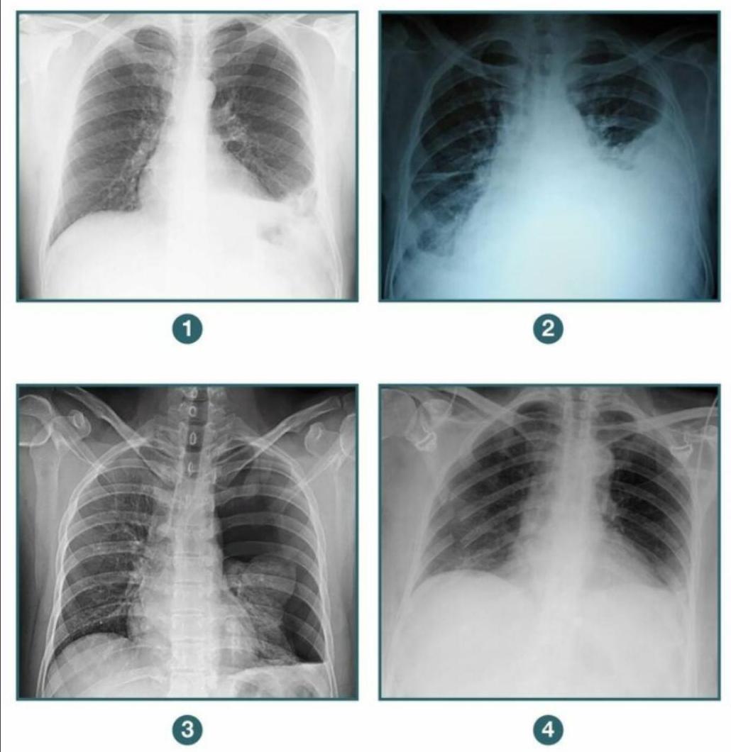 Image for question 10